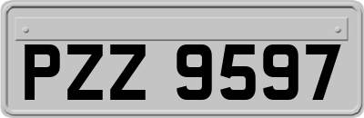 PZZ9597