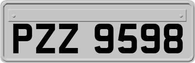 PZZ9598