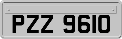 PZZ9610