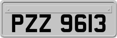 PZZ9613