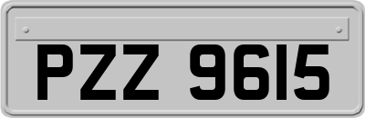 PZZ9615