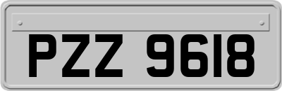 PZZ9618