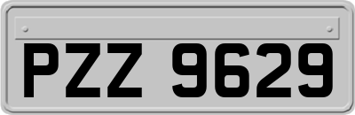 PZZ9629