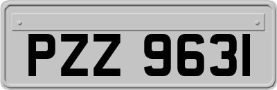 PZZ9631