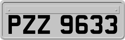 PZZ9633