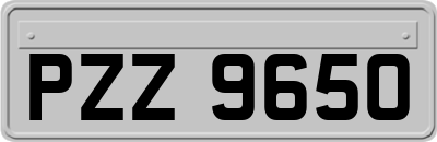 PZZ9650