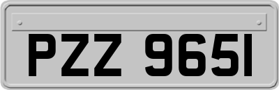 PZZ9651