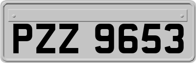 PZZ9653