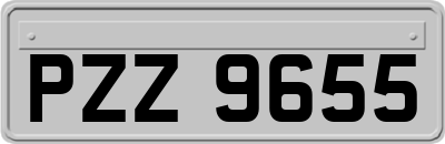 PZZ9655