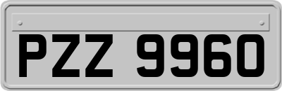 PZZ9960