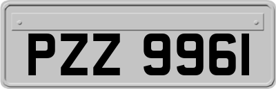 PZZ9961