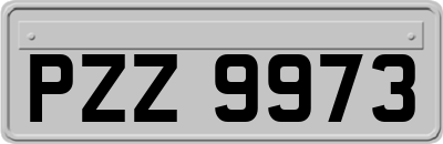 PZZ9973