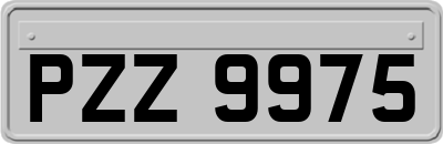 PZZ9975