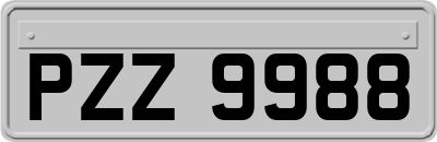 PZZ9988