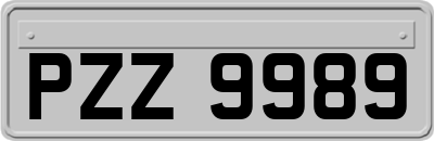 PZZ9989