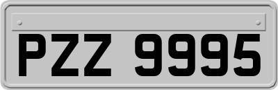 PZZ9995