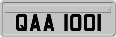 QAA1001