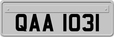 QAA1031