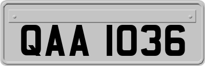 QAA1036