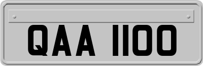 QAA1100