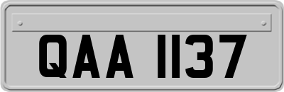 QAA1137