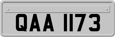 QAA1173