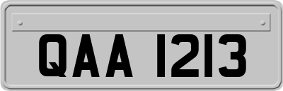 QAA1213
