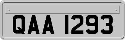 QAA1293