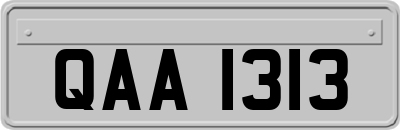 QAA1313