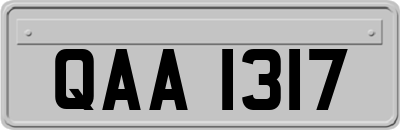QAA1317