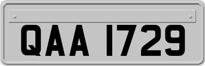 QAA1729