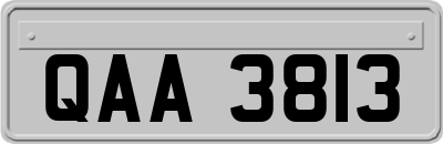 QAA3813