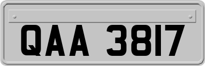 QAA3817