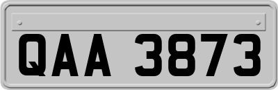 QAA3873