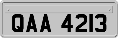 QAA4213
