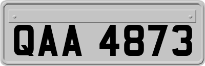 QAA4873