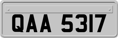 QAA5317