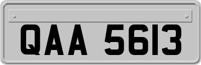 QAA5613
