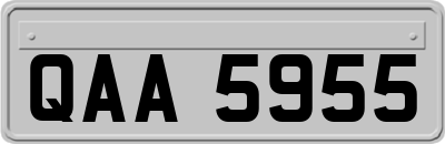 QAA5955