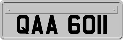 QAA6011