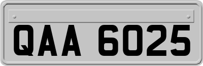 QAA6025
