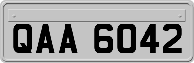 QAA6042