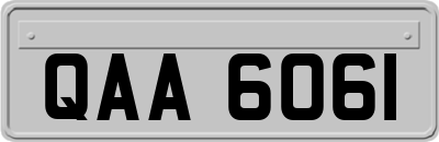 QAA6061