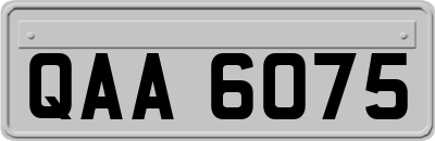QAA6075