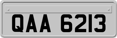 QAA6213
