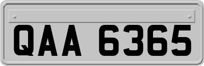 QAA6365