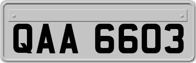 QAA6603