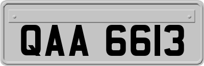 QAA6613