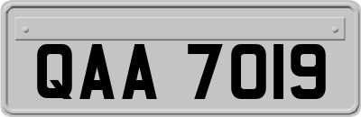 QAA7019