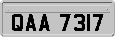 QAA7317